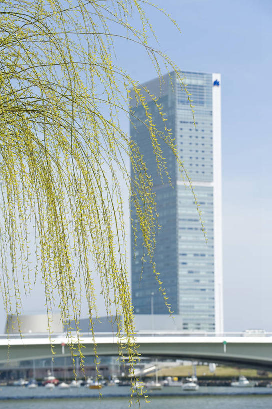 无人,高楼大厦,竖图,室外,白天,正面,旅游,度假,河流,森林,树林,水,植物,标志建筑,大厦,地标,建筑,摩天大楼,日本,亚洲,阴影,光线,影子,河水,水流,枝条,娱乐,建设,树,树木,树枝,蓝色,绿色,蓝天,天空,阳光,自然,天,享受,休闲,旅游胜地,放松,生长,晴朗,成长,东亚,本州,万里无云,本州岛,日本国,中部地方,新潟,新潟县,县厅,新潟市,虬枝,枝杈,信浓川,晴空,晴空万里,彩图,大楼,高层建筑,高楼,摩天楼,朱鹭展览馆