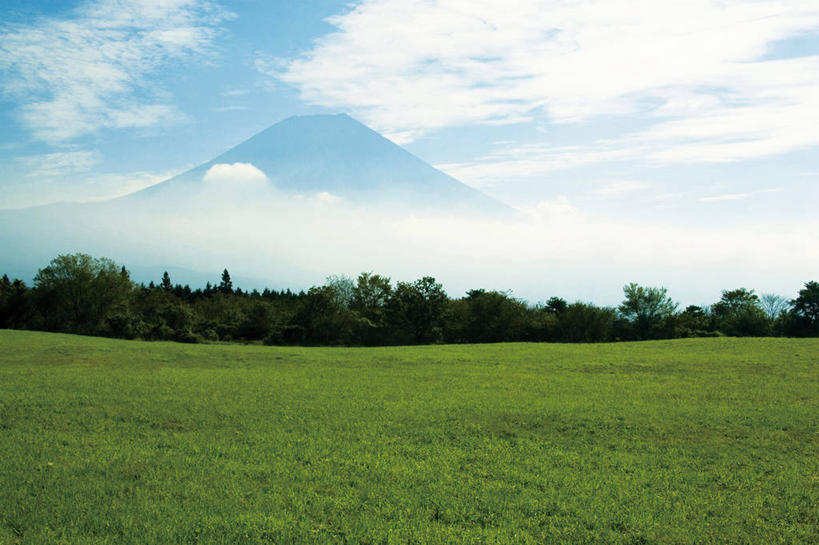 无人,横图,室外,白天,正面,旅游,度假,草地,草坪,火山,美景,山,山脉,树林,植物,富士山,静冈县,日本,亚洲,阴影,光线,影子,景观,山峰,云,云朵,山峦,云彩,娱乐,草,树,树木,蓝色,绿色,白云,蓝天,天空,阳光,自然,群山,天,享受,休闲,景色,放松,生长,晴朗,成长,自然风光,东亚,本州,本州岛,日本国,中部地方,静冈,富士宫,活火山,晴空,彩图,富士宫市