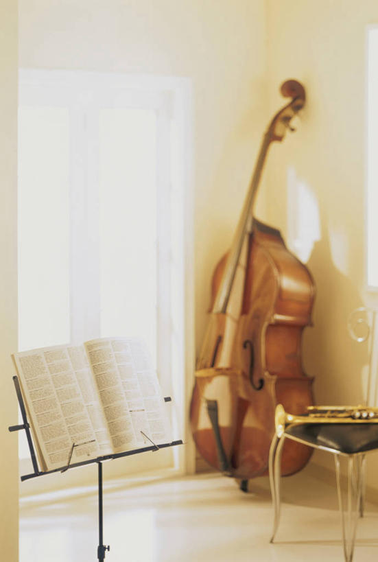 无人,竖图,室内,白天,正面,地板,书籍,阴影,反射,影子,墙,大提琴,乐谱,乐器,五线谱,弦乐器,地面,音乐,木地板,架子,墙壁,墙面,一个,白色,单个,节拍,弓拉弦乐器,弓拉弦鸣乐器,音符,乐谱架,符头,符干,符尾,乐章,彩图