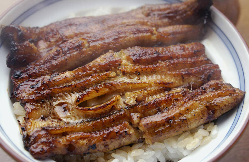 米饭,鳗鱼,无人,横图,俯视,室内,特写,白天,烹饪,雾,鳗鲡,一堆,阴影,堆叠,堆积,沸腾,朦胧,模糊,反射,蒸汽,影子,陶瓷,肉,鱼肉,日本料理,料理,食品,陶瓷制品,水蒸气,雾气,饭,菜肴,美食,肉类,食物,一个,容器,碗,日式料理,日式,鳗鱼饭,佳肴,单个,储藏,堆,气体,五谷,储存,肉食,河鳗,蒸发,白鳗,青鳝,风馒,白鳝,彩图,高角度拍摄,贮存