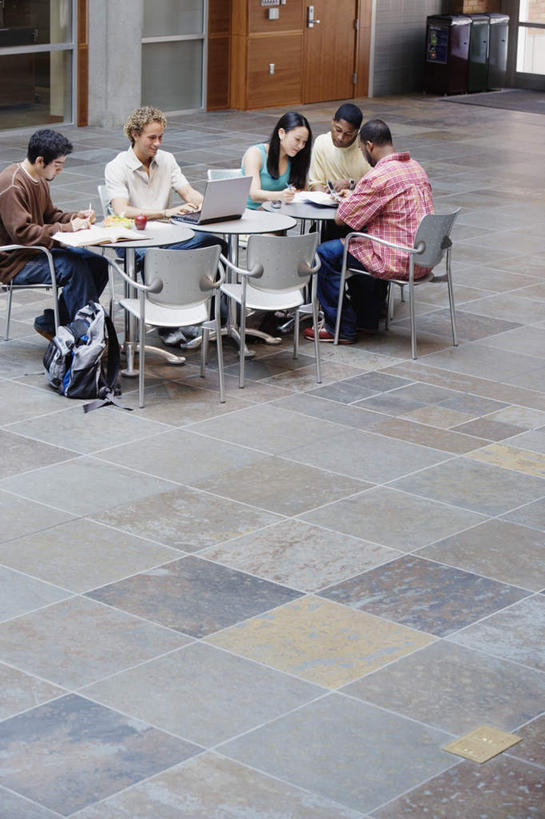 西方人,伙伴,朋友,学生,图书馆,坐,竖图,俯视,室内,白天,讨论,友谊,地板,桌子,椅子,欧洲,非洲,黑人,欧洲人,五个人,学习,服装,会议,方格,许多人,注视,休闲装,书桌,衣服,课桌,观察,看,一群人,休闲,同学,休闲服,服饰,观看,察看,知识,校友,关注,同窗,学友,友情,男人,男性,年轻男性,年轻女性,女人,女性,白种人,非洲人,大学生,坐着,彩图,高角度拍摄,全身