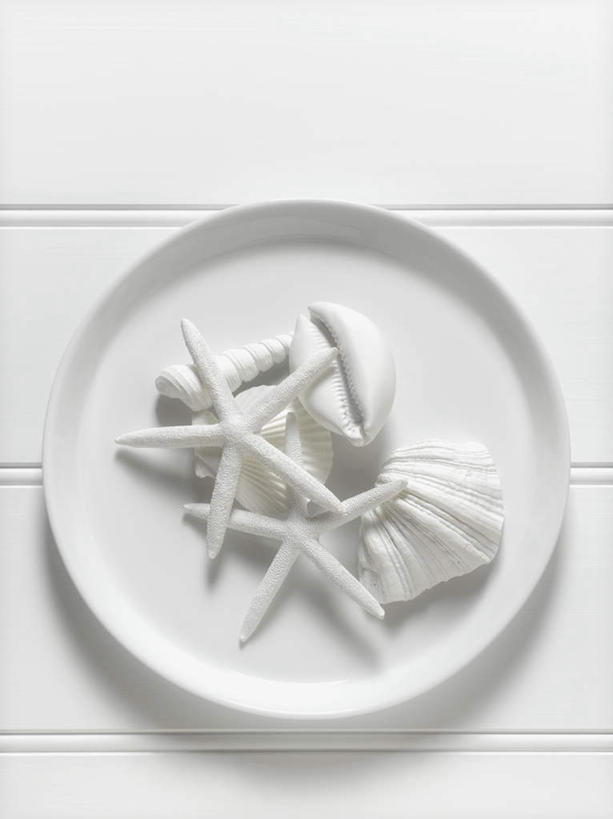 无人,竖图,俯视,室内,特写,白天,白色背景,海星,静物,餐具,装饰,碟子,盘,海洋生物,一个,自然,动物,盘子,碟,生物,摄影,影棚,单个,保护,华丽,修饰,点缀,紧固,牢固,衬托,美观,雅致,雅观,踢脚板,壁脚线,踢脚线,贴脚线,棘皮动物门,星鱼,彩图,高角度拍摄,影棚拍摄,拍摄