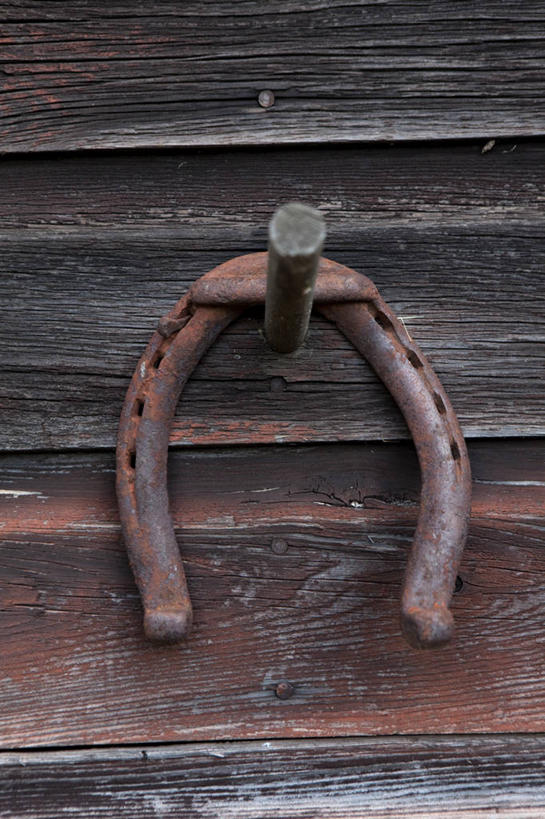 蝶泳,无人,室外,特写,白天,正面,金属制品,金属,木制,钉子,墙,墙壁,墙面,一个,木制品,单个,五金,紧固,马蹄铁,牢固,彩图,稳固