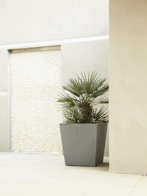 蝶泳,无人,家,室外,白天,正面,植物,盆栽,房屋,墙,屋子,盆景,楼房,墙壁,墙面,住宅,一个,绿色,自然,生长,单个,成长,彩图,房子