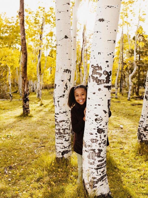 西方人,儿童,一个人,站,竖图,室外,白天,正面,游戏,纯洁,森林,树林,植物,欧洲,非洲,黑人,欧洲人,仅一个女性,仅一个人,阴影,服装,光线,影子,玩,注视,休闲装,娱乐,树,树木,小孩,衣服,绿色,阳光,自然,观察,看,站着,仅一个小孩,休闲,休闲服,可爱,童年,童趣,服饰,生长,成长,观看,活动,察看,白杨树,捉迷藏,发泄,关注,消遣,智力,躲猫猫,童真,烂漫,无邪,白杨,宣泄,大叶杨,天真,女孩,女人,女性,非洲人,孩子,玩耍,嬉戏,站立,彩图,全身,颤杨,冲天杨,响杨,女生