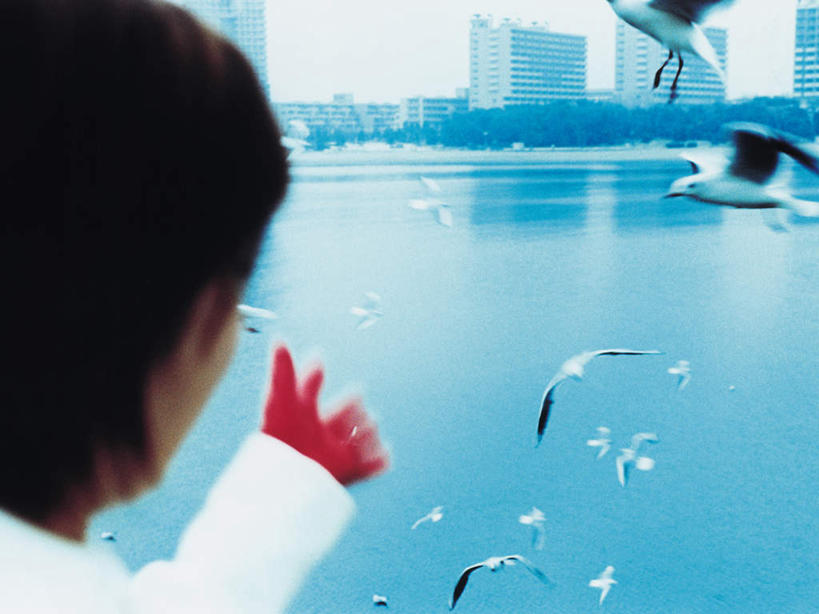 东方人,脸,头,脸颊,手,一个人,高楼大厦,站,横图,室外,特写,白天,办公楼,海浪,海洋,大厦,建筑,摩天大楼,写字楼,海鸟,海鸥,鸟,亚洲,仅一个年轻女性,仅一个女性,仅一个人,许多,飞翔,伸展,张开,展翅,阴影,服装,朦胧,模糊,装饰,飞行,光线,翅膀,鸟类,影子,浪花,很多,翱翔,休闲装,黄种人,飞舞,背面,衣服,蓝色,倒影,蓝天,天空,阳光,海水,手套,楼宇,天,站着,休闲,温暖,手部,休闲服,商务楼,服饰,晴朗,保暖,单手,华丽,点缀,倒映,御寒,海景,张开翅膀,万里无云,衬托,美观,雅致,雅观,遨游,漫游,反照,展开翅膀,年轻女性,女人,女性,亚洲人,头部,脸部,脸蛋,面部,大海,风浪,海,海水的波动,近岸浪,涌浪,晴空,晴空万里,站立,半身,彩图,大楼,高层建筑,高楼,摩天楼