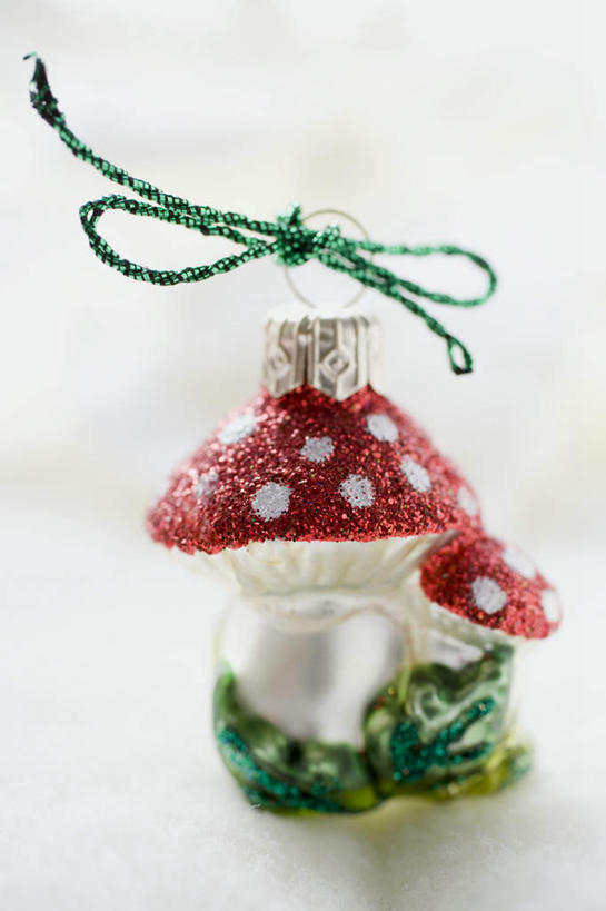 无人,竖图,俯视,室内,特写,白天,白色背景,游戏,餐桌,桌子,静物,玩具,圣诞节,阴影,节日,庆祝,装饰,反射,丝绸,丝带,影子,菌菇,蘑菇,缎带,玩,菌类,文化,娱乐,绸带,一个,庆典,休闲,食用菌,益智,摄影,影棚,单个,餐台,活动,纪念,华丽,修饰,点缀,发泄,消遣,智力,宣泄,衬托,美观,雅致,雅观,玩耍,嬉戏,彩图,高角度拍摄,影棚拍摄,拍摄