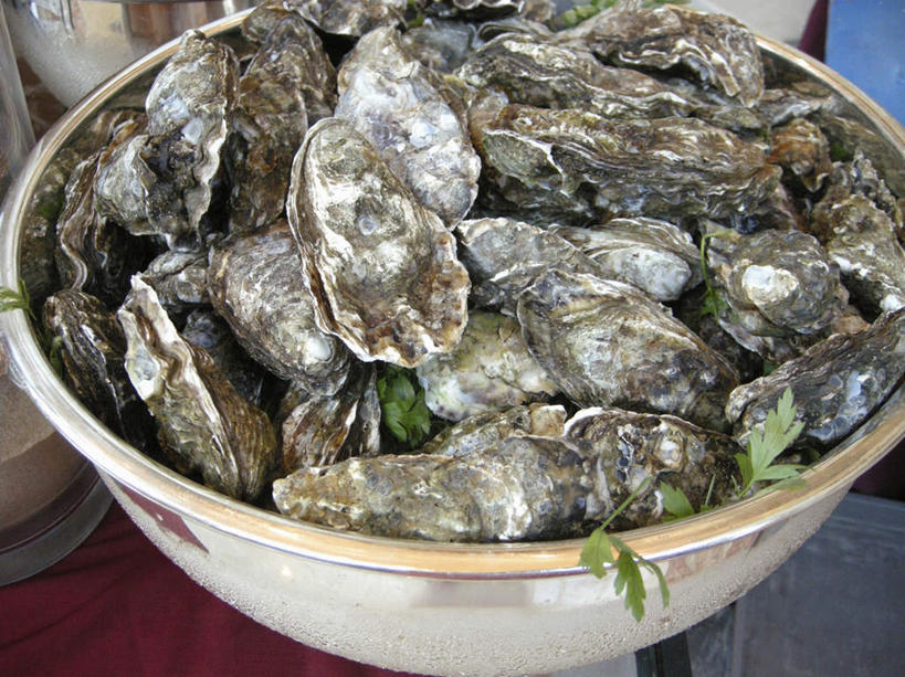 海鲜,无人,横图,俯视,室内,特写,白天,贝壳,一堆,许多,阴影,堆叠,堆积,反射,影子,陶瓷,陶瓷制品,水产,海洋生物,容器,碗,储藏,堆,储存,水生动物,海产品,贻贝,水生物,海底动物,海虹,淡菜,壳菜,青口,彩图,高角度拍摄,贮存
