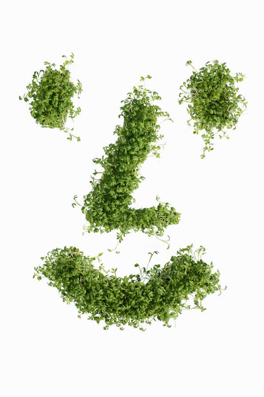 无人,笑,微笑,竖图,俯视,室内,特写,白天,白色背景,芹菜,蔬菜,阴影,新鲜,反射,影子,食品,食物,摄影,有机食品,绿色食品,影棚,根芹菜,根洋芹,球根塘蒿,药芹,水芹,旱芹,彩图,高角度拍摄,影棚拍摄,拍摄,拟人