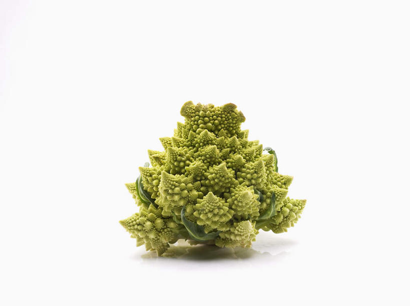 无人,横图,室内,特写,白天,白色背景,正面,餐桌,桌子,蔬菜,一棵,阴影,新鲜,反射,影子,花菜,花椰菜,西兰花,食品,食物,绿色,摄影,有机食品,绿色食品,影棚,餐台,椰菜花,罗马花椰菜,青宝塔,甘蓝花,彩图,影棚拍摄,拍摄