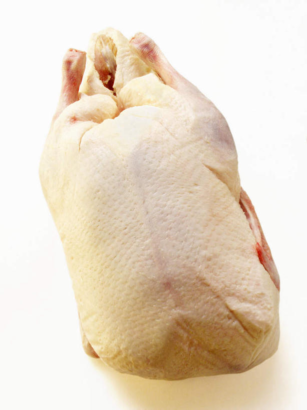 无人,竖图,俯视,室内,特写,白天,白色背景,餐桌,桌子,阴影,新鲜,反射,影子,肉,生食,鸭肉,肉类,一个,摄影,影棚,单个,餐台,肉食,彩图,高角度拍摄,影棚拍摄,拍摄