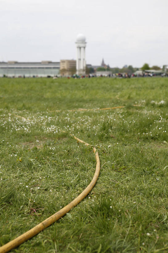 无人,机场,竖图,室外,白天,正面,旅游,度假,草地,草坪,花海,花圃,美景,植物,飞机场,叶子,德国,欧洲,盛开,塑料,景观,首都,花蕾,娱乐,航空,水管,柏林,草,花,花瓣,花朵,花卉,鲜花,树,树木,绿色,自然,塑料制品,停机坪,花丛,花束,花田,花苞,花蕊,享受,休闲,景色,放松,生长,成长,软管,西欧,自然风光,德意志联邦共和国,柏林州,彩图