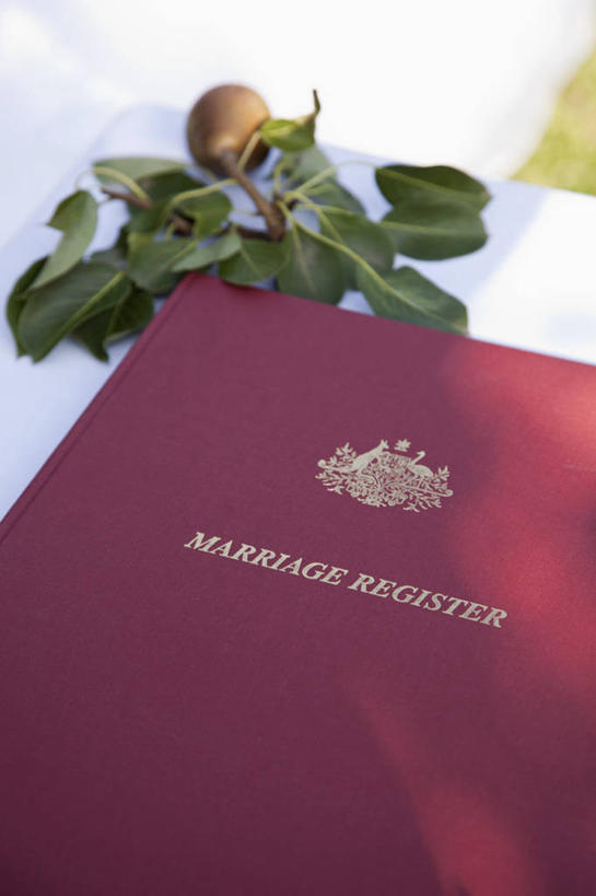 无人,竖图,俯视,室外,特写,白天,快乐,餐桌,桌子,梨,水果,叶子,一本,阴影,朦胧,模糊,庆祝,新鲜,反射,影子,生食,食品,果实,绿叶,结婚,食物,喜庆,嫩叶,香梨,有机食品,绿色食品,餐台,纪念,徽章,证书,结婚证书,叶,叶片,生梨,彩图,高角度拍摄,高兴