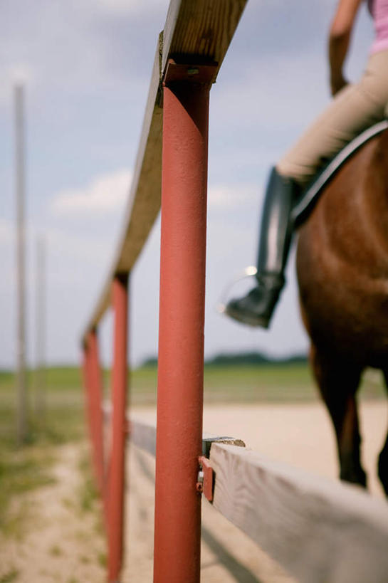 西方人,一个人,农场,栏杆,竖图,室外,白天,仰视,畜牧业,牧场,草地,草坪,植物,马,野生动物,鞋子,金属制品,欧洲,欧洲人,仅一个年轻女性,仅一个女性,仅一个人,骑马,阴影,服装,朦胧,模糊,光线,金属,影子,云,云朵,围栏,马厩,云彩,休闲装,靴子,踩,护栏,马场,一匹,草,一个,骑,衣服,蓝色,绿色,白云,蓝天,天空,阳光,动物,天,踩着,休闲,休闲服,运输,服饰,牲畜,晴朗,单个,牛仔靴,畜牧,牧业,马具,马镫,年轻女性,女人,女性,白种人,晴空,半身,彩图,低角度拍摄
