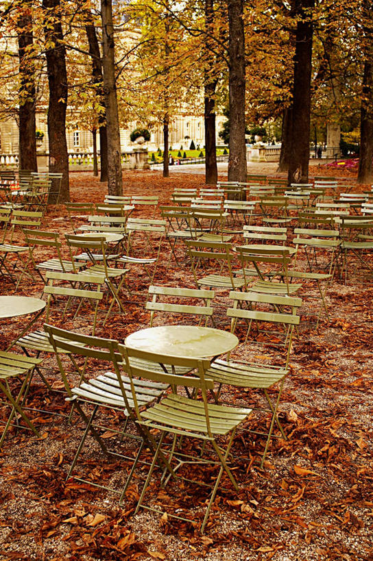 无人,竖图,室外,白天,正面,旅游,度假,草地,草坪,美景,树林,植物,餐桌,桌子,道路,路,叶子,椅子,法国,巴黎,欧洲,许多,堡垒,城堡,木椅,景观,小路,枫叶,枯叶,落叶,交通,首都,娱乐,草,树,树木,排列,黄色,红色,绿色,自然,享受,休闲,景色,放松,生长,成长,餐台,枫树叶,要塞,自然风光,法兰西共和国,法兰西第五共和国,摆列,设防,卢森堡公园,叶,叶片,彩图,布列,分列