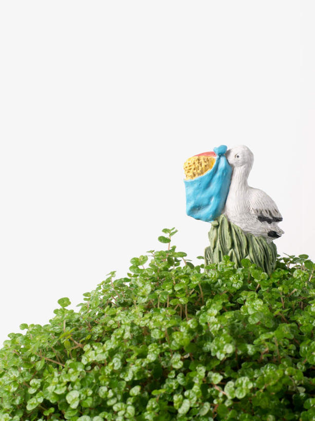 无人,站,竖图,室内,特写,白天,白色背景,正面,植物,鸟,袋子,叶子,雕塑,吊挂,悬挂,阴影,艺术,装饰,反射,鸟类,雕刻,雕像,影子,绿叶,挂,麻袋,注视,树,树木,一只,蓝色,绿色,自然,容器,工艺品,观察,看,站着,嫩叶,摄影,影棚,生长,成长,观看,纪念,储藏,美术,察看,鹳,储存,关注,主题,陈列,功能,美学,白颈鹳,叶,叶片,站立,彩图,全身,影棚拍摄,拍摄,贮存