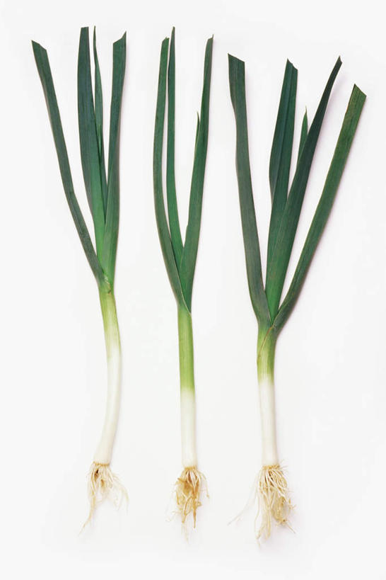 无人,竖图,俯视,室内,特写,白天,白色背景,蔬菜,三根,一排,阴影,新鲜,整齐,反射,影子,葱,大葱,青葱,食品,食物,排列,绿色,摄影,有机食品,绿色食品,影棚,队列,彩图,高角度拍摄,影棚拍摄,拍摄