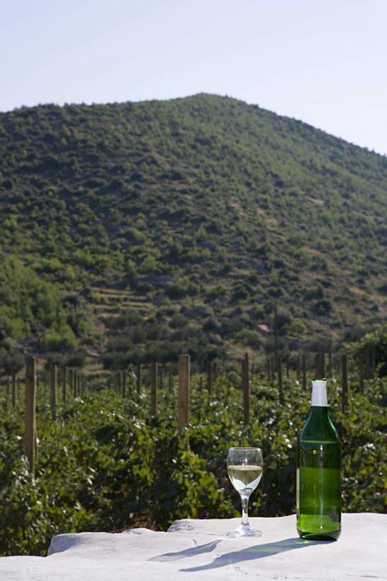 红酒,葡萄酒,无人,果园,竖图,室外,白天,正面,旅游,度假,石头,美景,山,山脉,田园,杯子,阴影,光线,高脚杯,石子,影子,景观,山峰,红酒杯,山峦,白葡萄酒,酒类,红酒瓶,娱乐,葡萄园,架子,玻璃制品,酒,酒瓶,饮料,蓝色,蓝天,天空,阳光,自然,玻璃瓶,酒杯,瓶子,庄园,群山,天,享受,休闲,景色,放松,晴朗,支撑,固定,自然风光,葡萄架,沉积岩,万里无云,水成岩,玻璃杯,石块,岩石,晴空,晴空万里,彩图