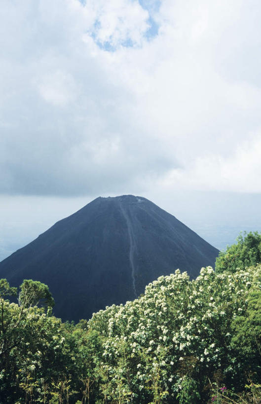 无人,竖图,室外,白天,正面,旅游,度假,火山,石头,美景,山,山脉,植物,萨尔瓦多,阴影,光线,石子,影子,景观,山峰,云,云朵,山峦,云彩,娱乐,树,树木,蓝色,绿色,白云,蓝天,天空,阳光,自然,群山,天,享受,休闲,景色,放松,生长,晴朗,成长,北美,北美洲,中美洲,自然风光,美洲,北亚美利加洲,亚美利加洲,萨尔瓦多共和国,活火山,石块,死火山,休眠火山,岩石,晴空,彩图