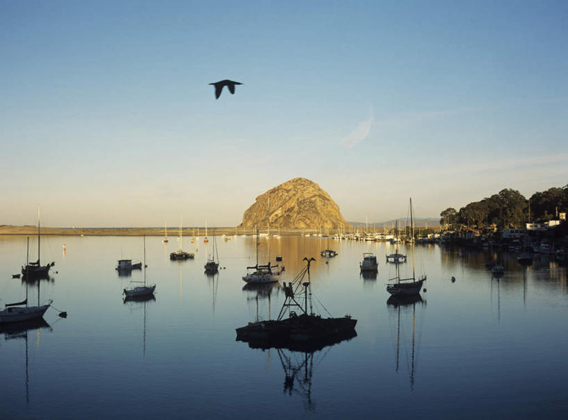 横图,室外,白天,仰视,旅游,度假,岛屿,海浪,海洋,美景,日落,沙滩,树林,植物,船,海鸟,海鸥,鸟,美国,许多,飞翔,飞行,鸟类,沙子,岛,海岸,景观,浪花,晚霞,霞光,落日,木船,沙地,背光,翱翔,娱乐,飞,树,树木,一只,绿色,自然,海水,黄昏,交通工具,享受,休闲,景色,彩霞,放松,生长,成长,北美,舟,北美洲,加利福尼亚,自然风光,载具,美洲,逆光,海景,加州,加利福尼亚州,金州,黄金州,北亚美利加洲,亚美利加洲,夕照,莫罗贝,大海,风浪,海,海水的波动,海滩,近岸浪,列岛,群岛,涌浪,诸岛,夕阳,彩图,低角度拍摄,全身,斜阳