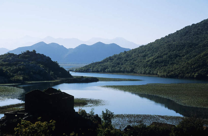 无人,横图,室外,白天,正面,旅游,度假,湖,湖泊,美景,森林,山,山脉,树林,水,植物,欧洲,波纹,湖面,景观,山峰,水流,水面,涟漪,山峦,娱乐,树,树木,蓝色,绿色,倒影,蓝天,水纹,天空,自然,波浪,湖水,群山,天,享受,休闲,景色,放松,生长,晴朗,成长,倒映,自然风光,万里无云,水晕,黑山,黑山共和国,反照,晴空,晴空万里,彩图