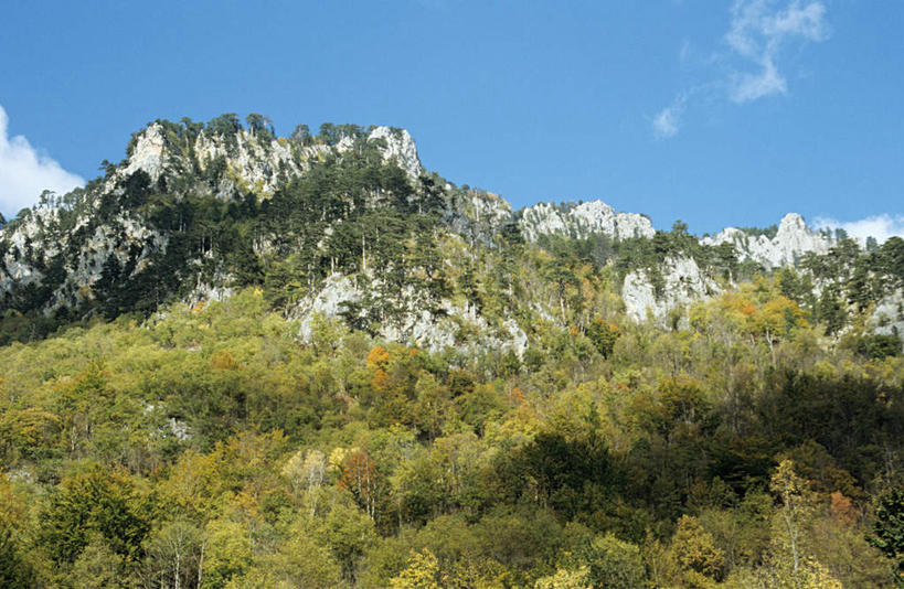 无人,横图,室外,白天,仰视,旅游,度假,石头,美景,森林,山,山脉,树林,植物,欧洲,石子,景观,山峰,云,云朵,山峦,云彩,娱乐,树,树木,蓝色,绿色,白云,蓝天,天空,自然,群山,天,享受,休闲,景色,放松,生长,晴朗,成长,自然风光,沉积岩,黑山,黑山共和国,水成岩,石块,岩石,晴空,彩图,低角度拍摄