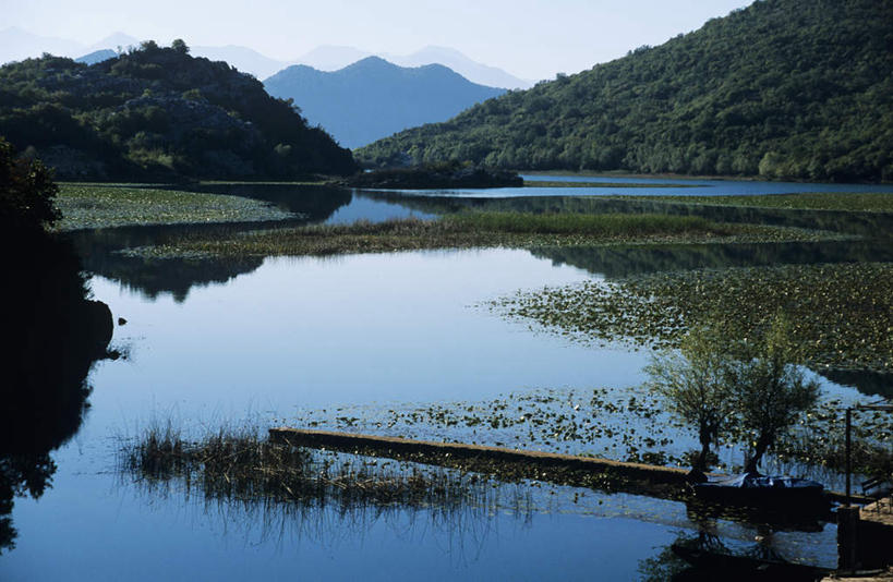 无人,横图,室外,白天,正面,旅游,度假,湖,湖泊,美景,森林,山,山脉,树林,水,植物,欧洲,波纹,湖面,景观,山峰,水流,水面,涟漪,山峦,娱乐,树,树木,蓝色,绿色,倒影,蓝天,水纹,天空,自然,波浪,湖水,群山,天,享受,休闲,景色,放松,生长,晴朗,成长,倒映,自然风光,万里无云,水晕,黑山,黑山共和国,反照,晴空,晴空万里,彩图