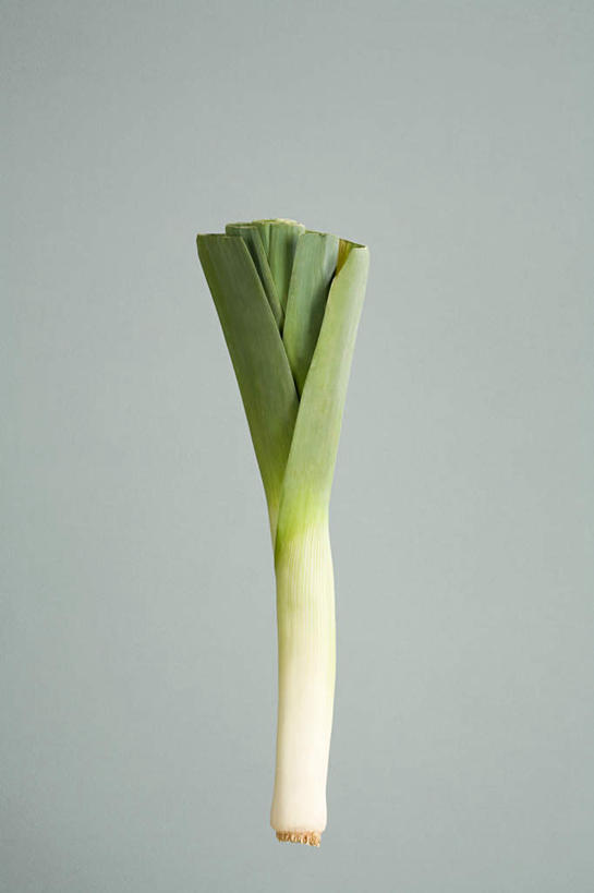 无人,竖图,俯视,室内,特写,白天,餐桌,桌子,蔬菜,一根,阴影,灰色背景,新鲜,反射,影子,葱,大葱,青葱,食品,食物,绿色,白色,摄影,有机食品,绿色食品,影棚,餐台,彩图,高角度拍摄,影棚拍摄,拍摄