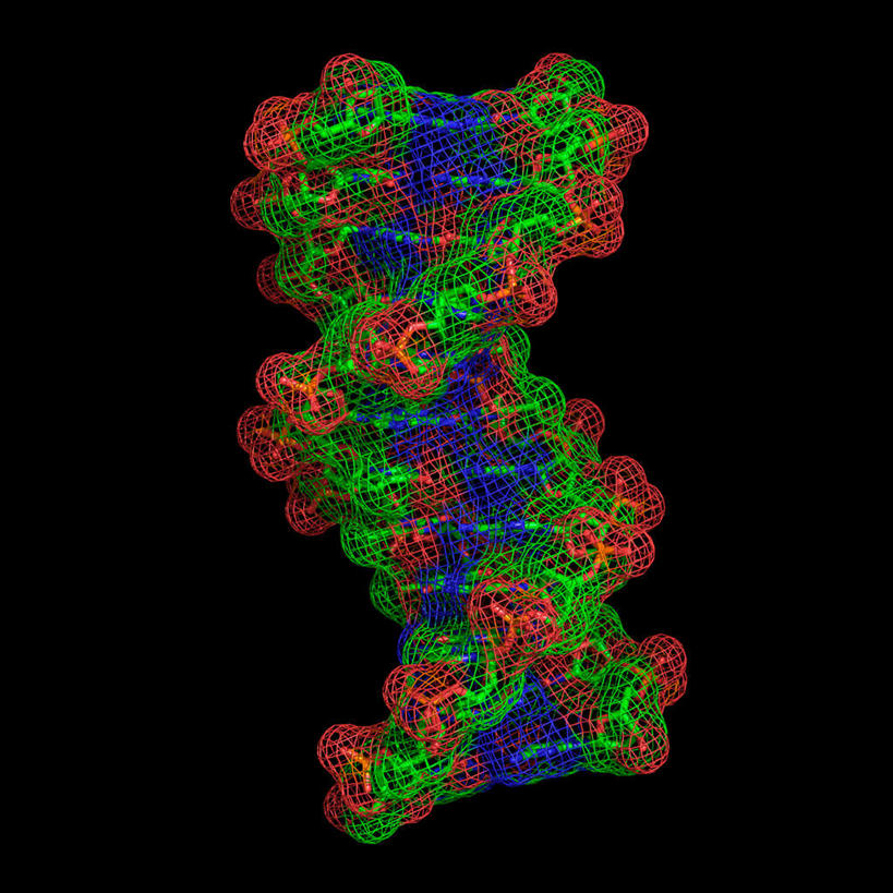 无人,方图,插画,室内,特写,白天,正面,数码,分子,科技,阴影,黑色背景,科学,网络,化学,基因,高光,几何,计算机图形,合成,图画,画,一个,红色,蓝色,绿色,生物,遗传,单个,电脑合成图,数码合成图,脱氧核糖核酸,分子结构,合成图,原子,漫画,粒子,写实,具体,具象,DNA分子,去氧核糖核酸,遗传信息,遗传因子,遗传学,分子几何,分子立体结构,分子形状,彩图