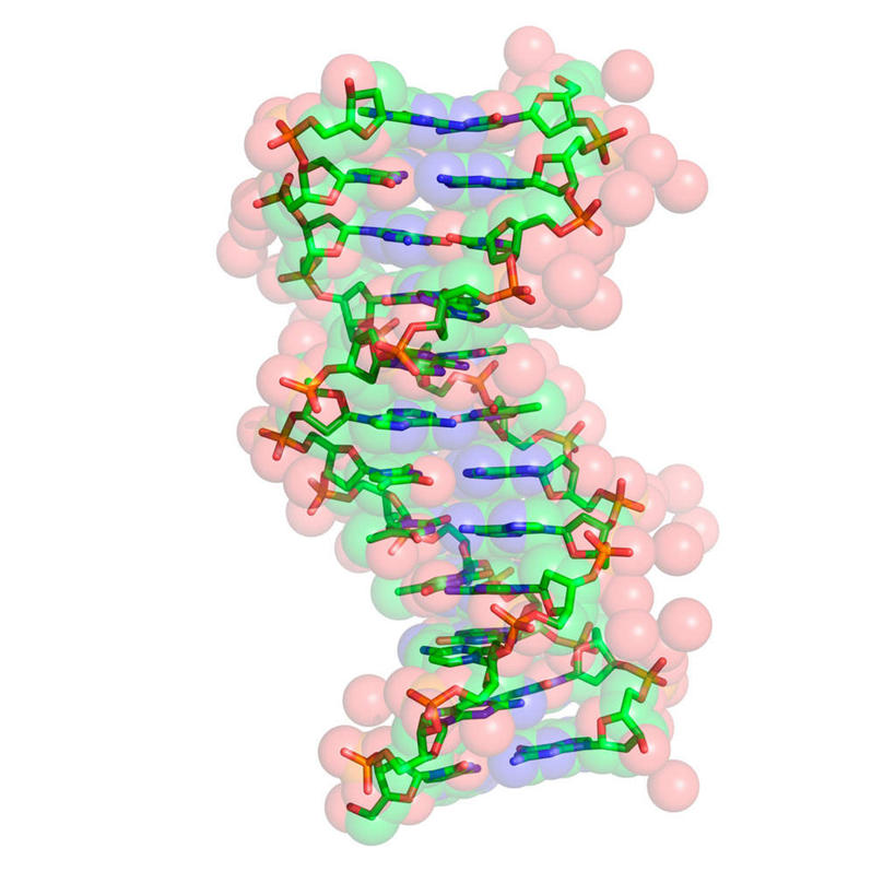 无人,方图,插画,室内,特写,白天,白色背景,正面,数码,分子,科技,阴影,科学,网络,化学,基因,高光,几何,计算机图形,合成,图画,画,一个,红色,蓝色,绿色,生物,遗传,单个,电脑合成图,数码合成图,脱氧核糖核酸,分子结构,合成图,原子,漫画,粒子,写实,具体,具象,DNA分子,去氧核糖核酸,遗传信息,遗传因子,遗传学,分子几何,分子立体结构,分子形状,彩图