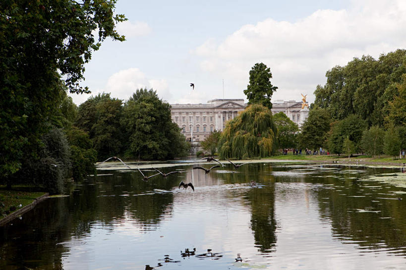 公园,家,横图,室外,白天,正面,旅游,度假,草地,草坪,湖,湖泊,水,植物,标志建筑,地标,建筑,英国,欧洲,伦敦,阴影,波纹,光线,影子,房屋,屋子,湖面,水流,水面,云,云朵,涟漪,首都,云彩,娱乐,建设,楼房,住宅,草,树,树木,蓝色,绿色,白云,倒影,蓝天,水纹,天空,阳光,自然,波浪,湖水,天,享受,休闲,旅游胜地,放松,生长,晴朗,成长,倒映,西欧,大不列颠,大不列颠及北爱尔兰联合王国,水晕,大不列颠联合王国,日不落英帝国,雾都,反照,圣詹姆斯公园,晴空,半身,彩图,房子