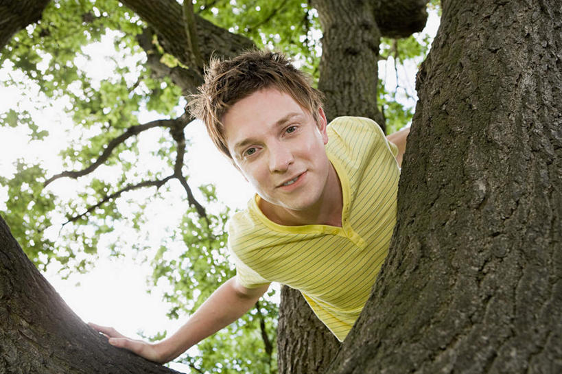 西方人,一个人,笑,攀登,微笑,横图,室外,白天,仰视,植物,叶子,欧洲,欧洲人,仅一个男性,仅一个人,服装,绿叶,枝条,注视,休闲装,树,树木,树枝,仅一个年轻男性,衣服,黄色,绿色,自然,扶,观察,看,休闲,休闲服,嫩叶,服饰,生长,成长,观看,察看,扶着,关注,虬枝,枝杈,男人,男性,年轻男性,白种人,叶,叶片,攀爬,半身,彩图,低角度拍摄,攀缘