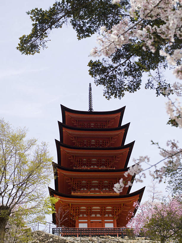 无人,寺庙,竖图,室外,白天,仰视,旅游,度假,植物,标志建筑,地标,建筑,日本,亚洲,阴影,光线,影子,塔,娱乐,建设,宝塔,树,树木,蓝色,绿色,蓝天,天空,阳光,自然,庙宇,天,享受,休闲,旅游胜地,放松,生长,晴朗,成长,东亚,万里无云,日本国,浮图,浮屠,晴空,晴空万里,彩图,低角度拍摄,庙,寺