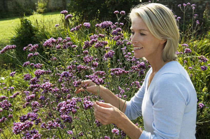 西方人,一个人,站,笑,微笑,露齿笑,横图,室外,白天,侧面,花海,花圃,植物,叶子,欧洲,欧洲人,仅一个女性,仅一个人,握,服装,盛开,拿,花蕾,拿着,扭头,注视,休闲装,花,花瓣,花朵,花卉,鲜花,衣服,绿色,花丛,花束,花田,花苞,花蕊,观察,看,站着,转头,仅一个中年女性,休闲,休闲服,握着,服饰,观看,察看,关注,女人,女性,中年女性,白种人,站立,半身,彩图