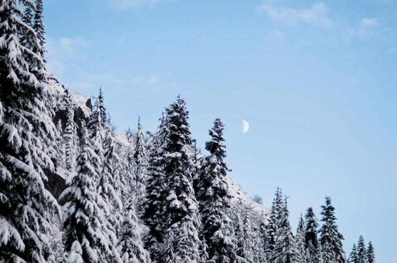 无人,横图,室外,白天,仰视,旅游,度假,美景,森林,山,山脉,树林,雪,植物,大雪,华盛顿,美国,阴影,光线,影子,积雪,景观,山峰,雪景,云,云朵,冬季,冬天,山峦,云彩,娱乐,树,树木,蓝色,绿色,白云,蓝天,天空,阳光,自然,群山,天,享受,休闲,景色,放松,寒冷,生长,晴朗,成长,北美,北美洲,自然风光,美洲,华盛顿州,常绿之州,常青州,北亚美利加洲,亚美利加洲,严寒,喀斯喀特山脉,北喀斯喀特山国家公园,北卡斯卡德山国家公园,北喀斯开国家公园,北瀑布国家公园,晴空,彩图,低角度拍摄