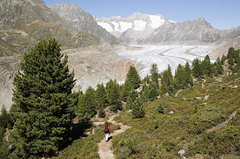 无人,横图,室外,白天,正面,旅游,度假,草地,草坪,美景,山,山脉,植物,瑞士,欧洲,阴影,光线,影子,景观,山峰,山峦,娱乐,阿莱奇冰川,草,树,树木,蓝色,绿色,蓝天,天空,阳光,自然,群山,天,享受,休闲,景色,放松,生长,晴朗,成长,自然风光,中欧,万里无云,瑞士联邦,晴空,晴空万里,彩图