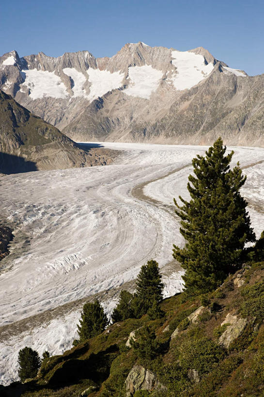 无人,竖图,室外,白天,正面,旅游,度假,草地,草坪,河流,石头,美景,山,山脉,水,植物,瑞士,欧洲,阴影,光线,石子,影子,冰,河水,景观,山峰,水流,山峦,娱乐,阿莱奇冰川,草,树,树木,蓝色,绿色,蓝天,天空,阳光,自然,浮冰,群山,天,享受,休闲,景色,放松,寒冷,生长,晴朗,成长,冰冷,自然风光,中欧,万里无云,严寒,瑞士联邦,冰凉,酷寒,凛冽,凛凛,极冷,流冰,浮冰块,石块,岩石,晴空,晴空万里,彩图