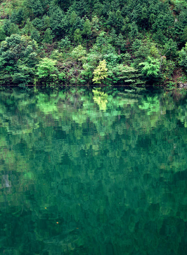 无人,竖图,室外,白天,正面,旅游,度假,湖,湖泊,美景,树林,水,植物,阴影,反射,影子,湖面,景观,水流,水面,娱乐,树,树木,绿色,自然,湖水,享受,休闲,景色,放松,生长,成长,镜面,自然风光,彩图