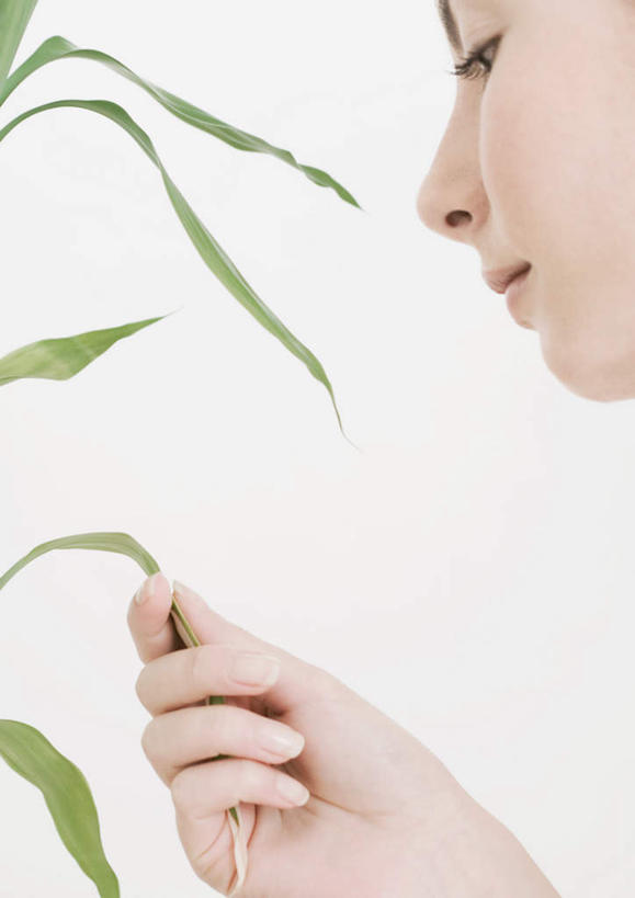 西方人,一个人,竖图,室内,特写,白天,白色背景,侧面,叶子,欧洲,欧洲人,仅一个年轻女性,仅一个女性,仅一个人,许多,握,竹叶,绿叶,拿,拿着,注视,观察,看,嫩叶,握着,摄影,影棚,观看,察看,关注,年轻女性,女人,女性,白种人,叶,叶片,半身,彩图,影棚拍摄,拍摄