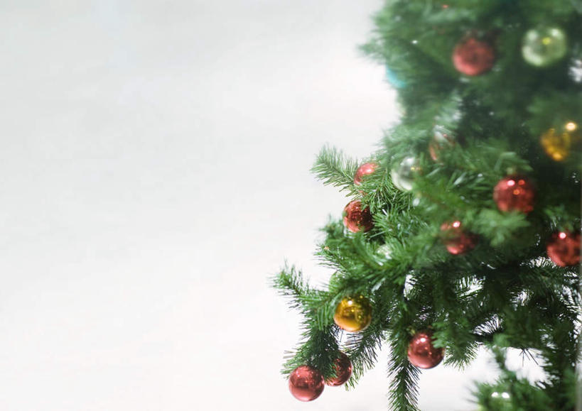 无人,横图,彩色,室内,白天,正面,植物,圣诞节,许多,大量,节日,朦胧,模糊,庆祝,装饰,彩灯,圣诞树,文化,装饰品,树,树木,绿色,自然,装饰物,庆典,生长,成长,纪念,彩图