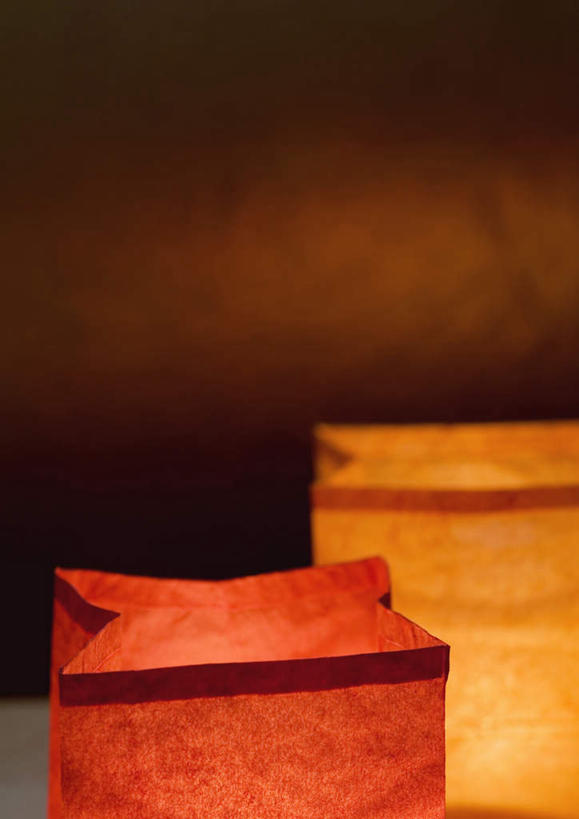 无人,竖图,俯视,室内,特写,白天,黑色背景,朦胧,模糊,灯笼,灯光,灯,两个,灯具,摄影,影棚,照明设备,彩图,高角度拍摄,影棚拍摄,拍摄