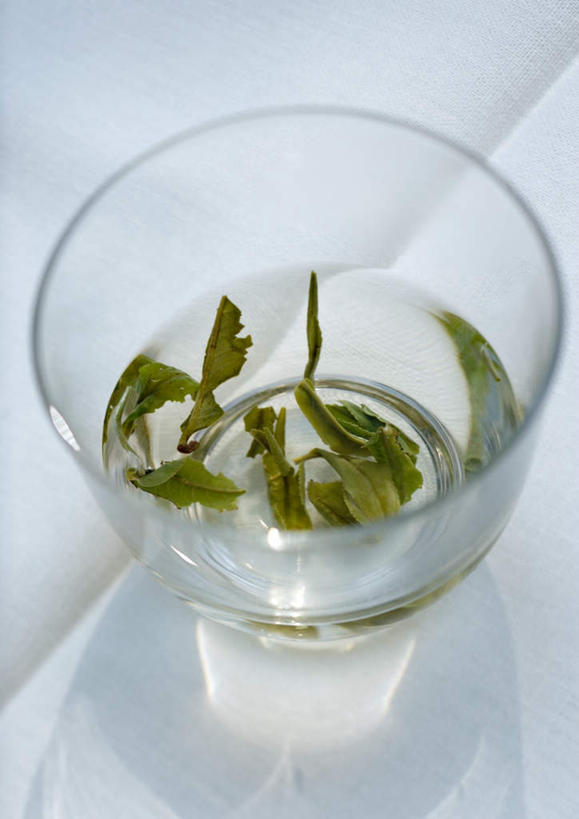 不同茶叶应当采取不同的冲泡方法，这样才能使茶叶中能溶于
