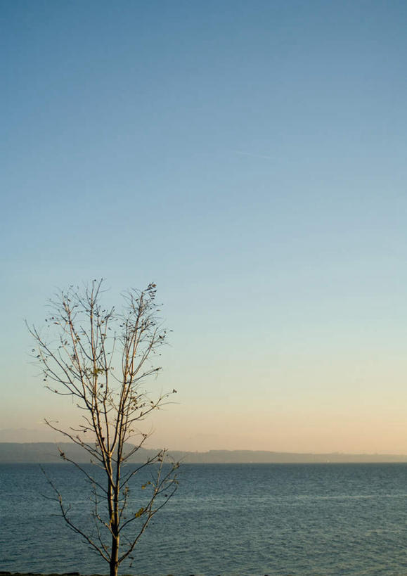 无人,竖图,室外,白天,正面,旅游,度假,海浪,海洋,美景,山,山脉,植物,波纹,景观,浪花,山峰,涟漪,山峦,娱乐,树,树木,绿色,倒影,水纹,自然,海水,波浪,群山,享受,休闲,景色,安静,放松,生长,成长,倒映,自然风光,海景,水晕,反照,寂静,大海,风浪,海,海水的波动,近岸浪,涌浪,彩图