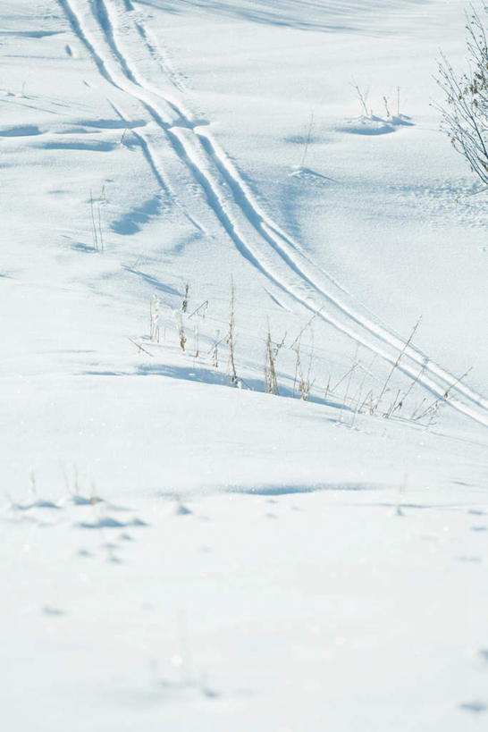 无人,竖图,俯视,室外,白天,旅游,度假,美景,雪,植物,大雪,阴影,枯萎,光线,影子,积雪,景观,雪景,冬天,枯草,痕迹,娱乐,草,黄色,阳光,自然,享受,休闲,景色,放松,印迹,自然风光,彩图,高角度拍摄