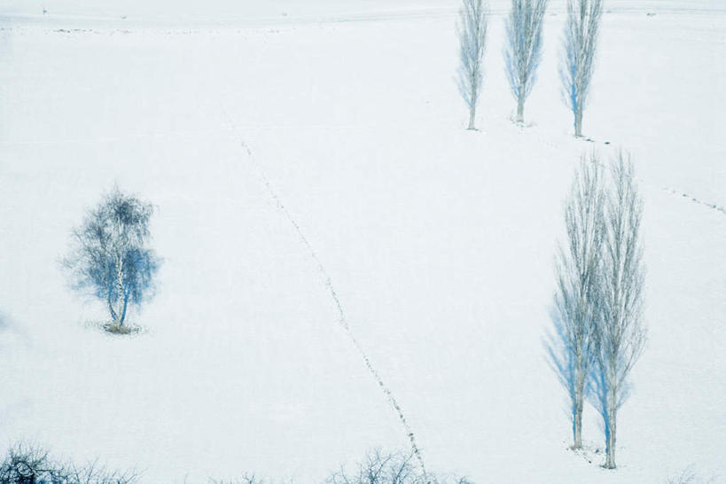 无人,横图,俯视,航拍,室外,白天,旅游,度假,美景,雪,植物,大雪,道路,路,瑞士,欧洲,积雪,景观,雪景,冬天,小路,交通,娱乐,树,树木,绿色,自然,享受,休闲,景色,放松,乡间小路,生长,成长,鸟瞰,自然风光,中欧,瑞士联邦,瓦莱州,彩图,高角度拍摄