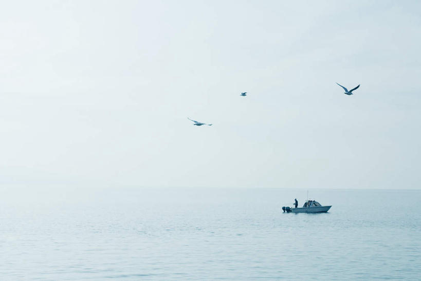 皮划艇,西方人,一个人,横图,室外,白天,正面,旅游,度假,湖,湖泊,美景,水,船,海鸟,海鸥,鸟,法国,瑞士,欧洲,欧洲人,仅一个男性,仅一个人,三只,飞翔,伸展,张开,展翅,飞行,翅膀,鸟类,湖面,景观,水流,水面,游艇,渔船,翱翔,娱乐,飞,莱蒙湖,仅一个年轻男性,自然,交通工具,湖水,享受,休闲,景色,放松,自然风光,张开翅膀,法兰西共和国,法兰西第五共和国,日内瓦湖,瑞士联邦,莱芒湖,展开翅膀,男人,男性,年轻男性,白种人,彩图,全身