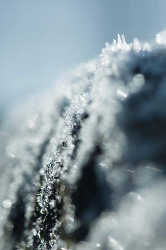 无人,竖图,俯视,室外,特写,白天,旅游,度假,美景,阴影,朦胧,模糊,光线,影子,冰,景观,冬季,冬天,青苔,苔藓,霜,娱乐,阳光,自然,享受,休闲,景色,放松,自然风光,冰霜,彩图,高角度拍摄