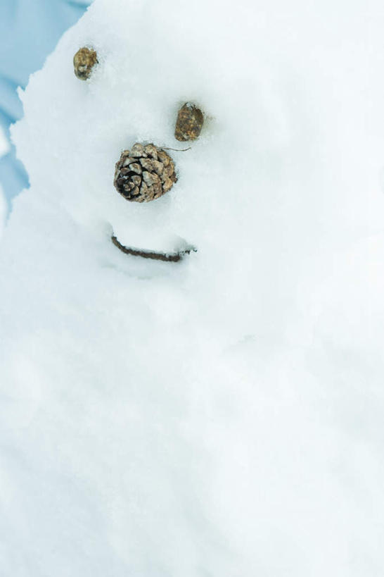 脸,脸颊,无人,横图,室外,白天,正面,游戏,石头,树林,雪,植物,大雪,一堆,堆叠,堆积,石子,积雪,雪景,雪人,冬季,冬天,玩,娱乐,树,树木,一个,绿色,自然,休闲,寒冷,生长,单个,成长,活动,堆,发泄,消遣,智力,宣泄,严寒,脸部,面部,石块,玩耍,嬉戏,彩图,拟人