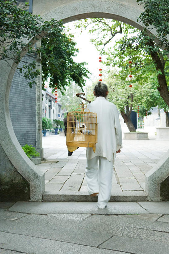 东方人,一个人,花园,栏杆,走,竖图,室外,白天,花圃,树林,植物,门,道路,路,鸟,亚洲,仅一个男性,仅一个人,瓷砖,地砖,栅栏,庭院,篱笆,园艺,围栏,小路,走道,走廊,过道,笼子,鸟笼,地面,交通,黄种人,护栏,树,树木,背面,绿色,自然,门框,仅一个老年男性,两只,挑,回廊,生长,成长,拐杖,园林,手杖,老年男性,男人,男性,亚洲人,小花园,步行,散步,走路,彩图,全身