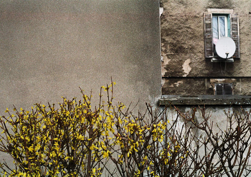 无人,家,横图,室外,白天,正面,度假,美景,植物,窗户,城市风光,城市,许多,盛开,房屋,屋子,景观,娱乐,楼房,玻璃窗,住宅,花,花瓣,花朵,花卉,鲜花,树,树木,绿色,自然,花蕊,享受,休闲,景色,放松,生长,成长,彩图,房子